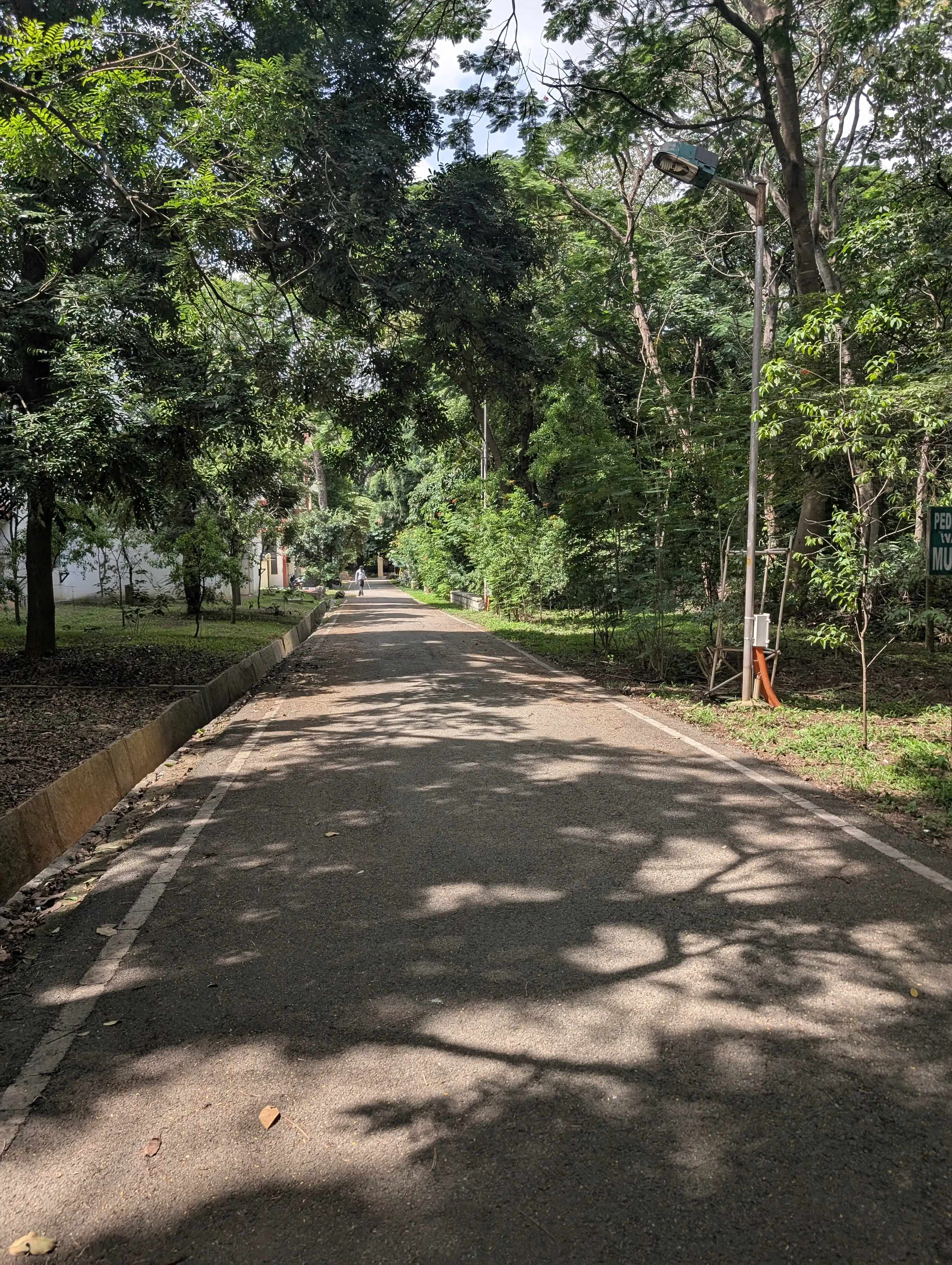 The way to AWTC. On the right is a forest
